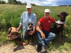 Tracy & Alan with Roux, Quinn and Reeva as a pup.